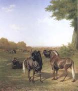 Jacques-Laurent Agasse White-Tailed Gnus (mk25) oil on canvas